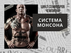 Система Монсона
