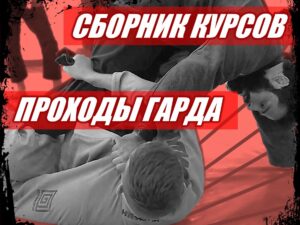 Сборник "Проходы гарда"
