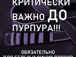 Сборник "От белого до синего пояса"