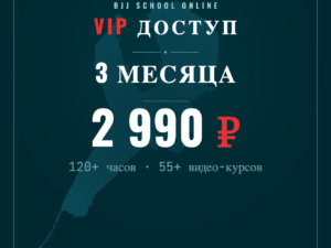 VIP-подписка. Доступ на 3 месяца
