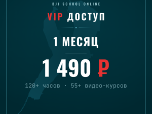 VIP-подписка. Доступ на 1 месяц