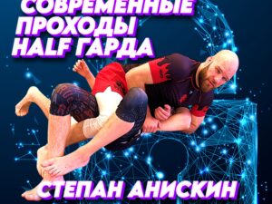 Степан Анискин. Современные проходы халф-гарда